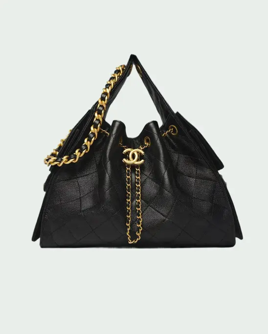Chanel 25 Medium Handbag